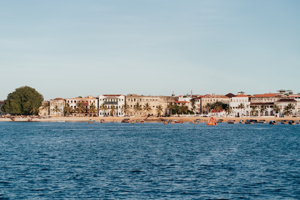 a body of water with buildings along it