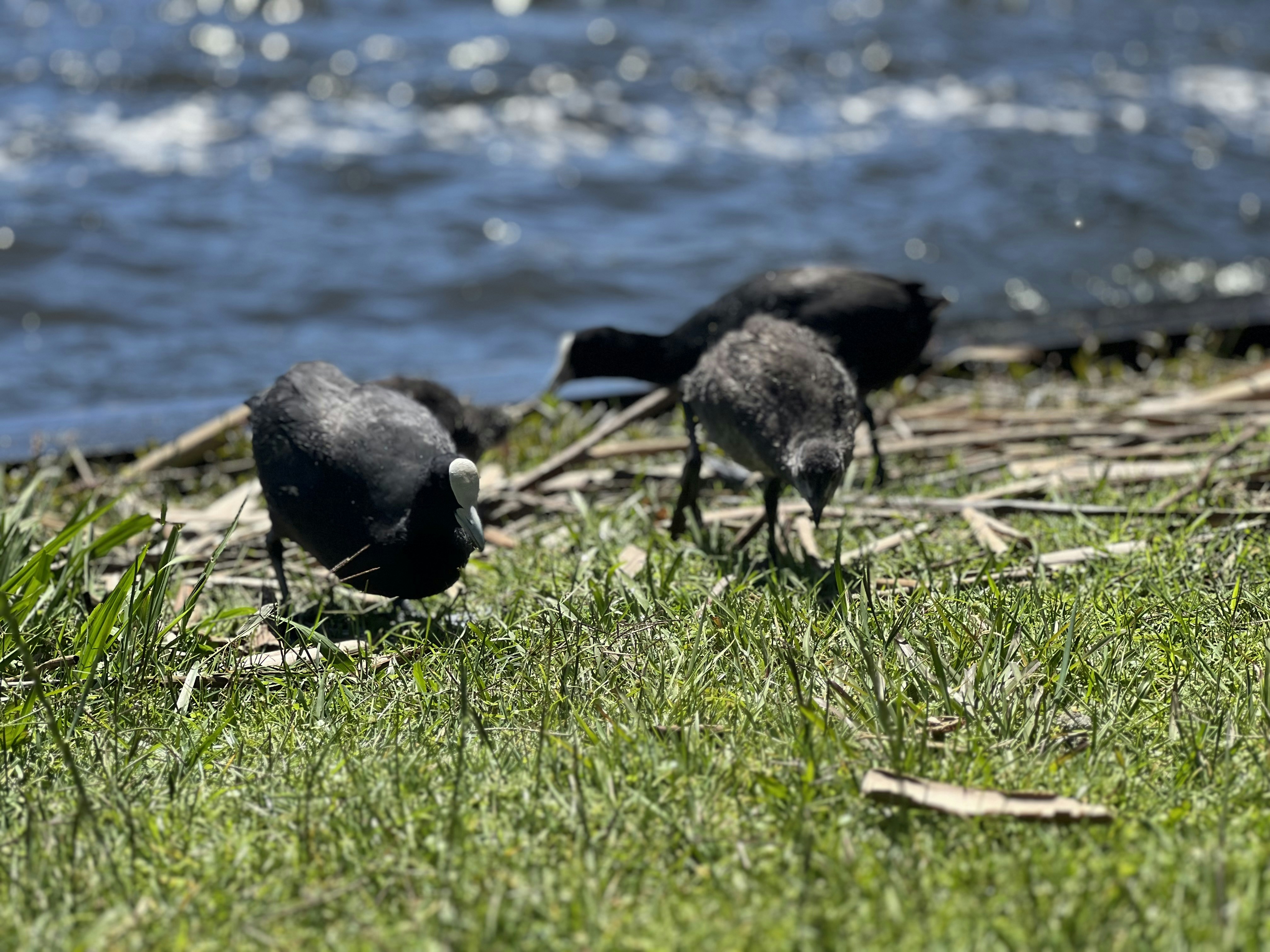 Photo by njan007
