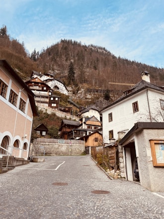 A picturesque mountain village with a cobblestone street leading upwards. Traditional wooden and stone houses are nestled against a steep hillside covered in bare trees, with a few evergreen trees interspersed. The sky is partly cloudy with patches of blue. The village has a quiet, charming atmosphere.