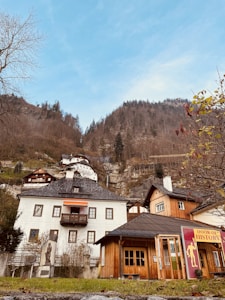 Several traditional alpine houses are nestled at the base of a forested hill. The buildings feature white facades and wooden elements, with a placard reading 'Door of History' visible on one structure. Bare trees and autumn foliage frame the scene, contributing to a serene and historic atmosphere.