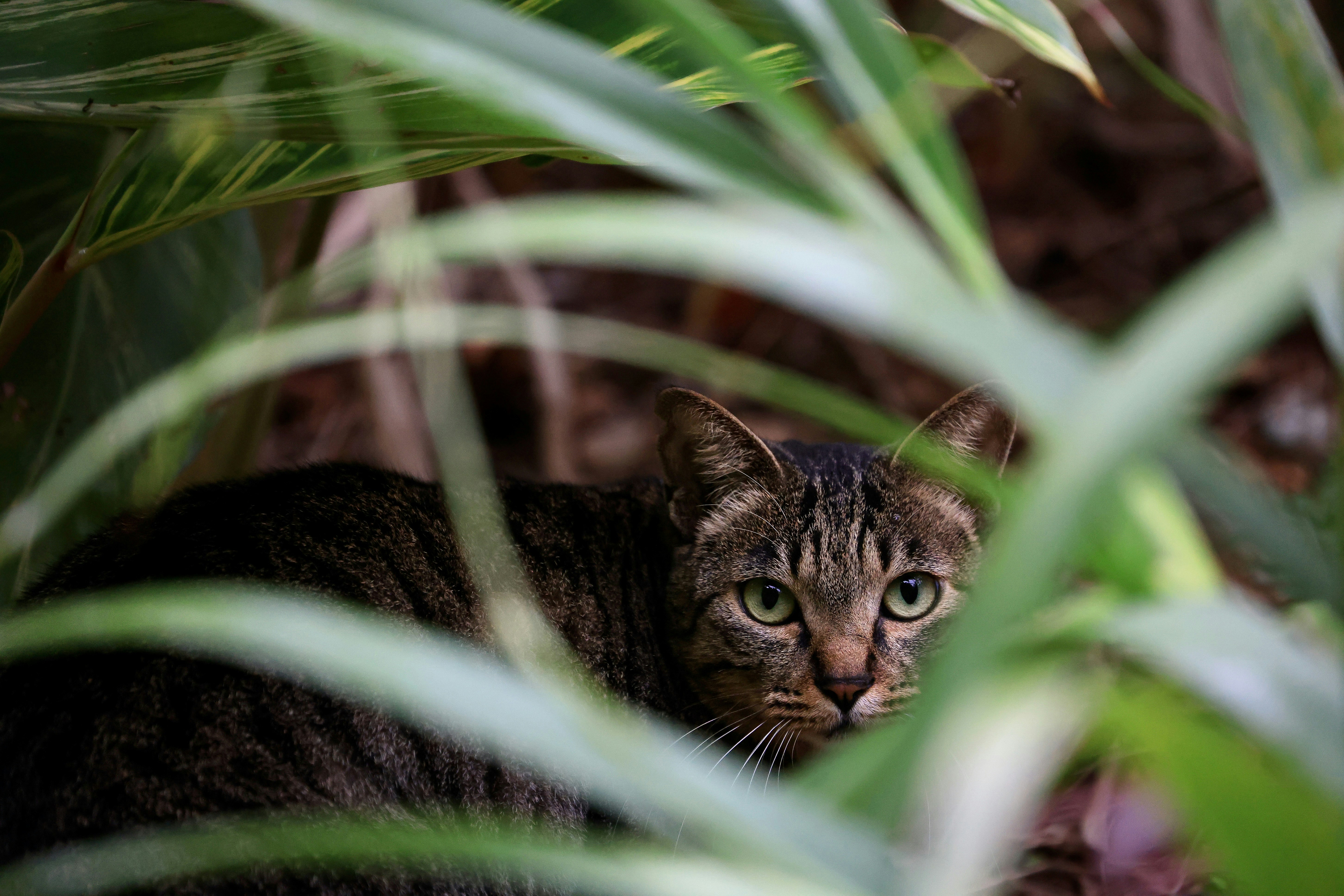 Photo by dickenslin76