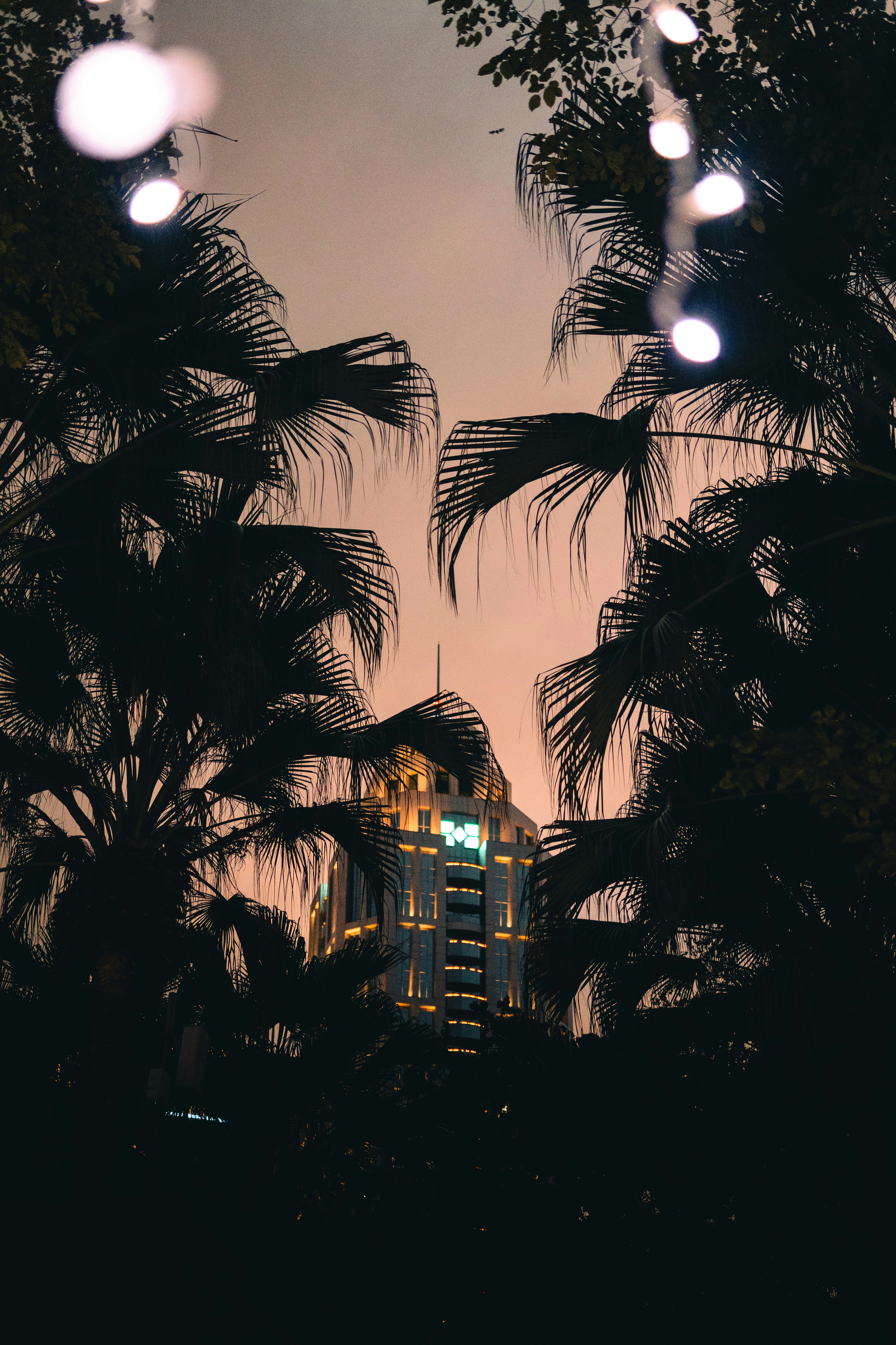 Un bâtiment avec des lumières allumées