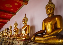 a group of buddha statues