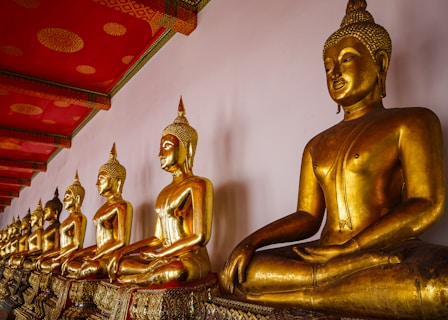 a group of buddha statues