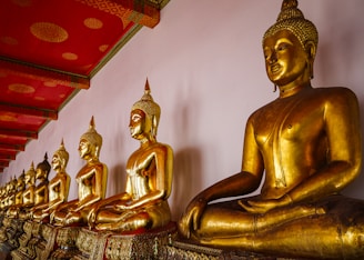 a group of buddha statues