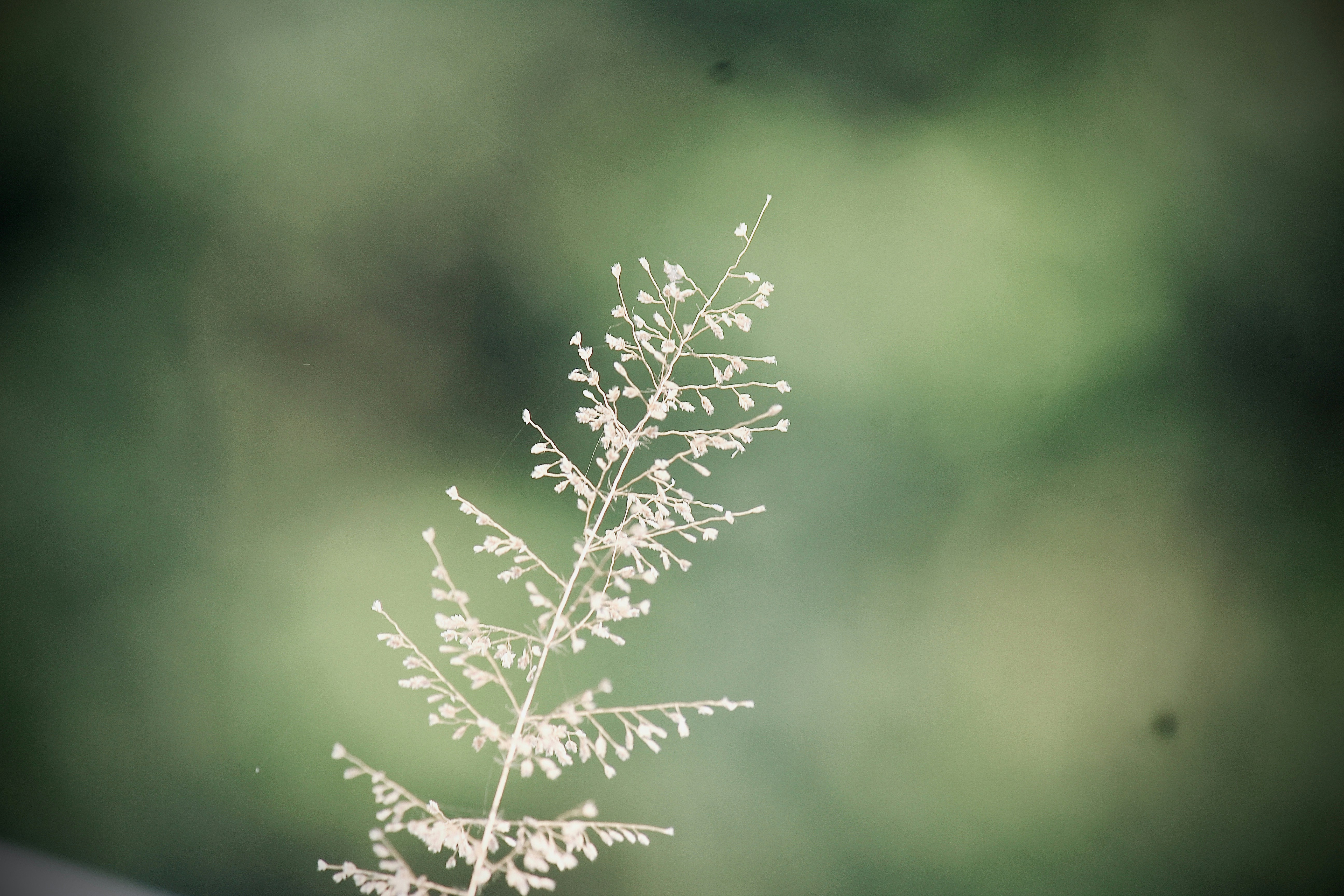 Photo by daksh02_shukla