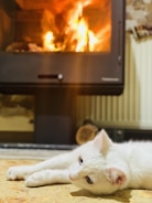 A cat curled up on a plush couch beside the fireplace, basking in the warmth.