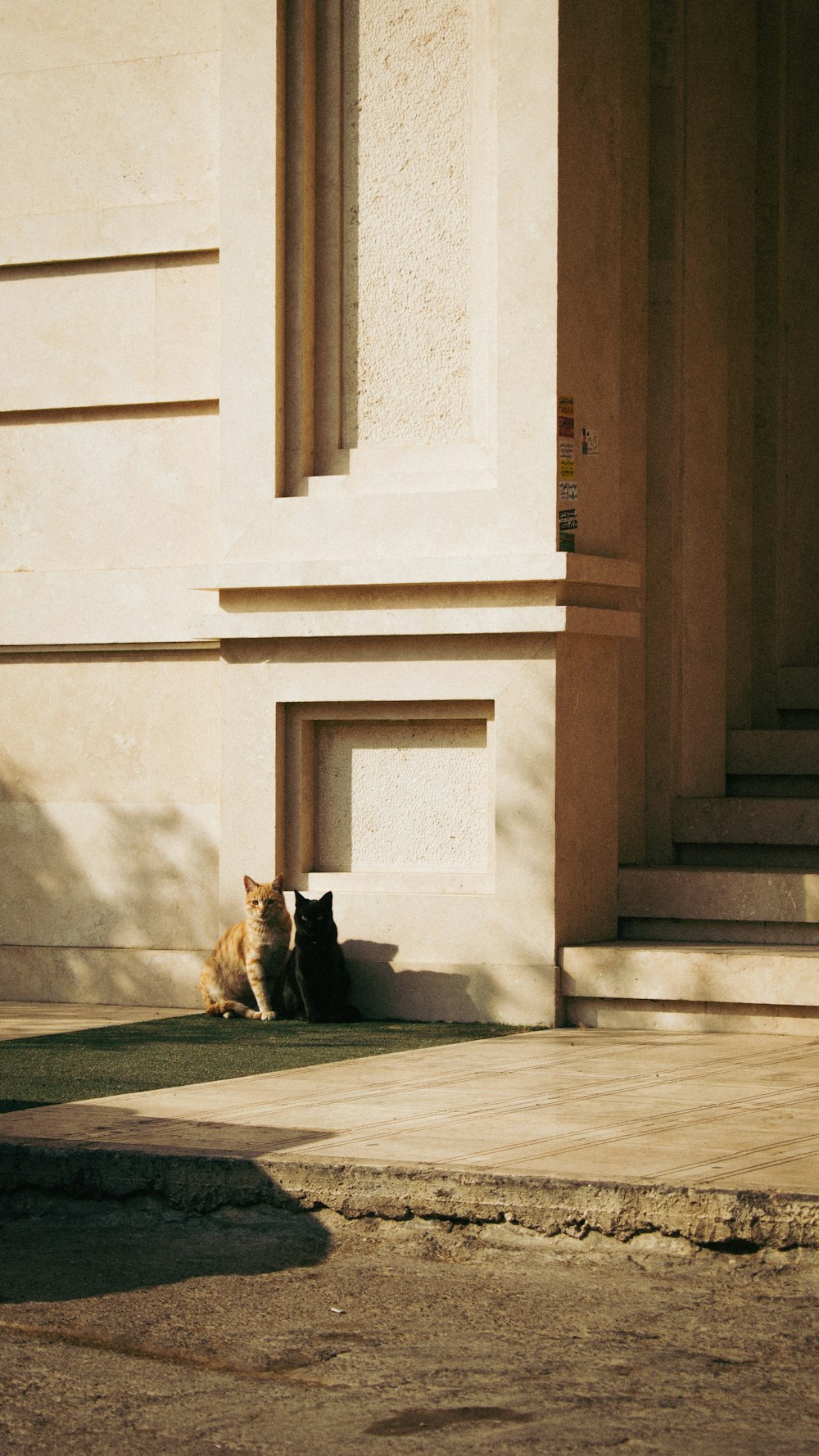two cats sitting on the steps of a building