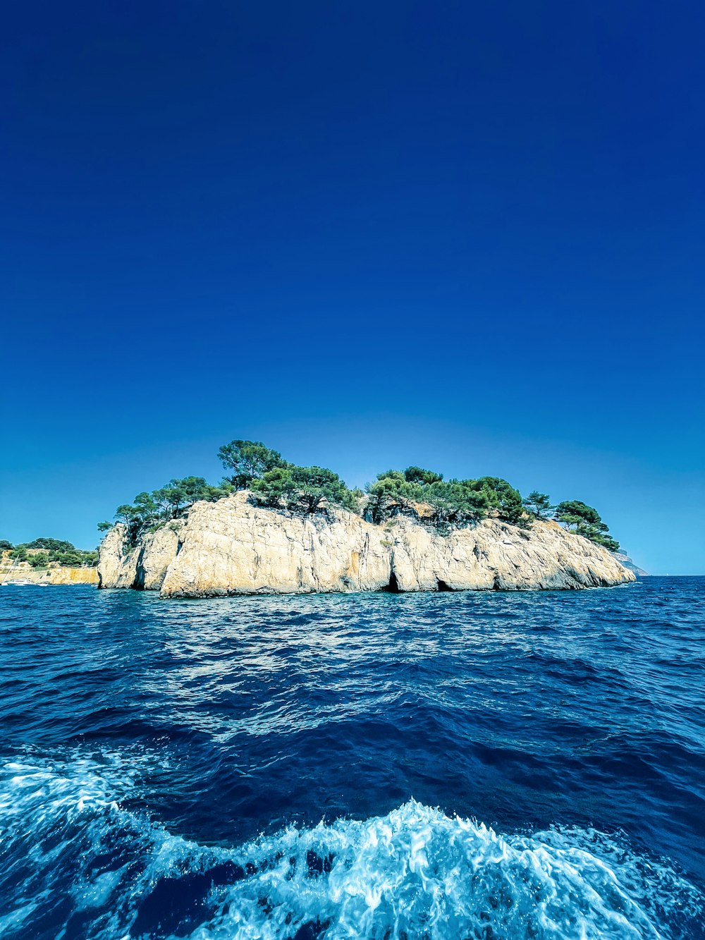 a rocky island with trees