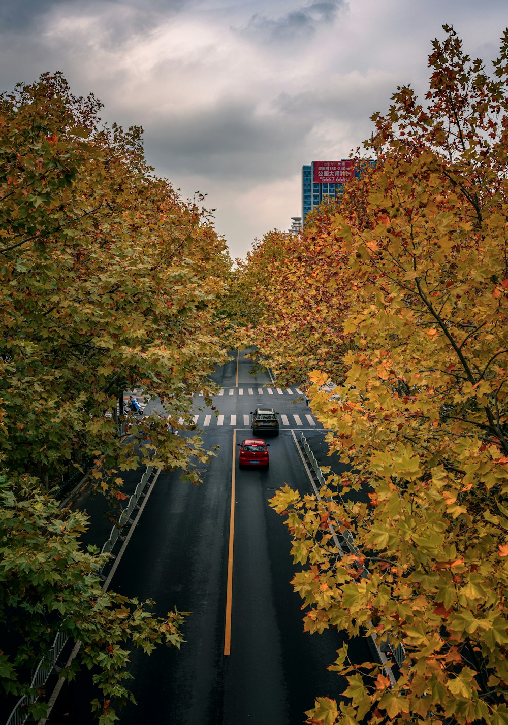 a road with cars on it and trees around it