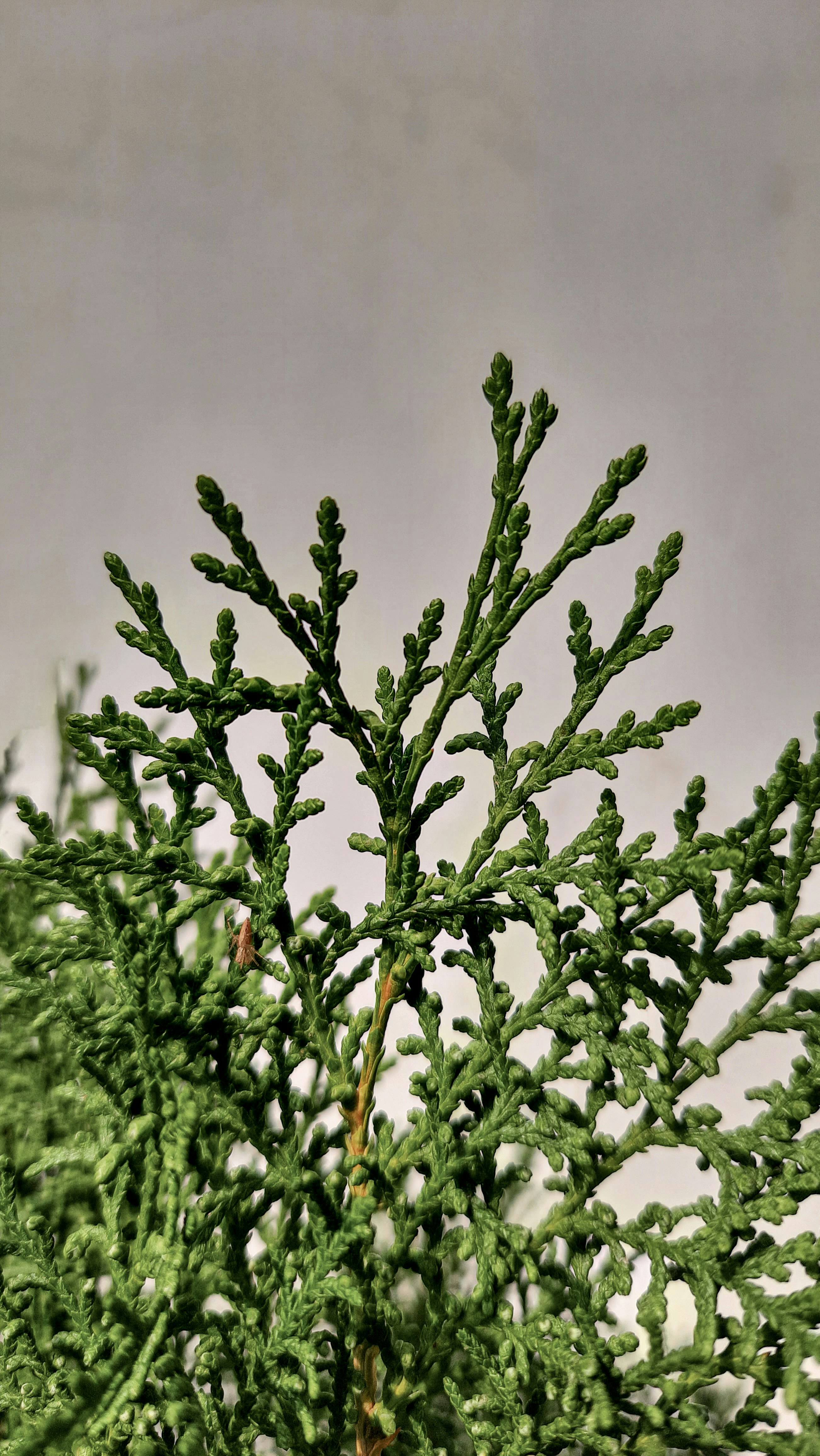 Photo by i_bluebell_i