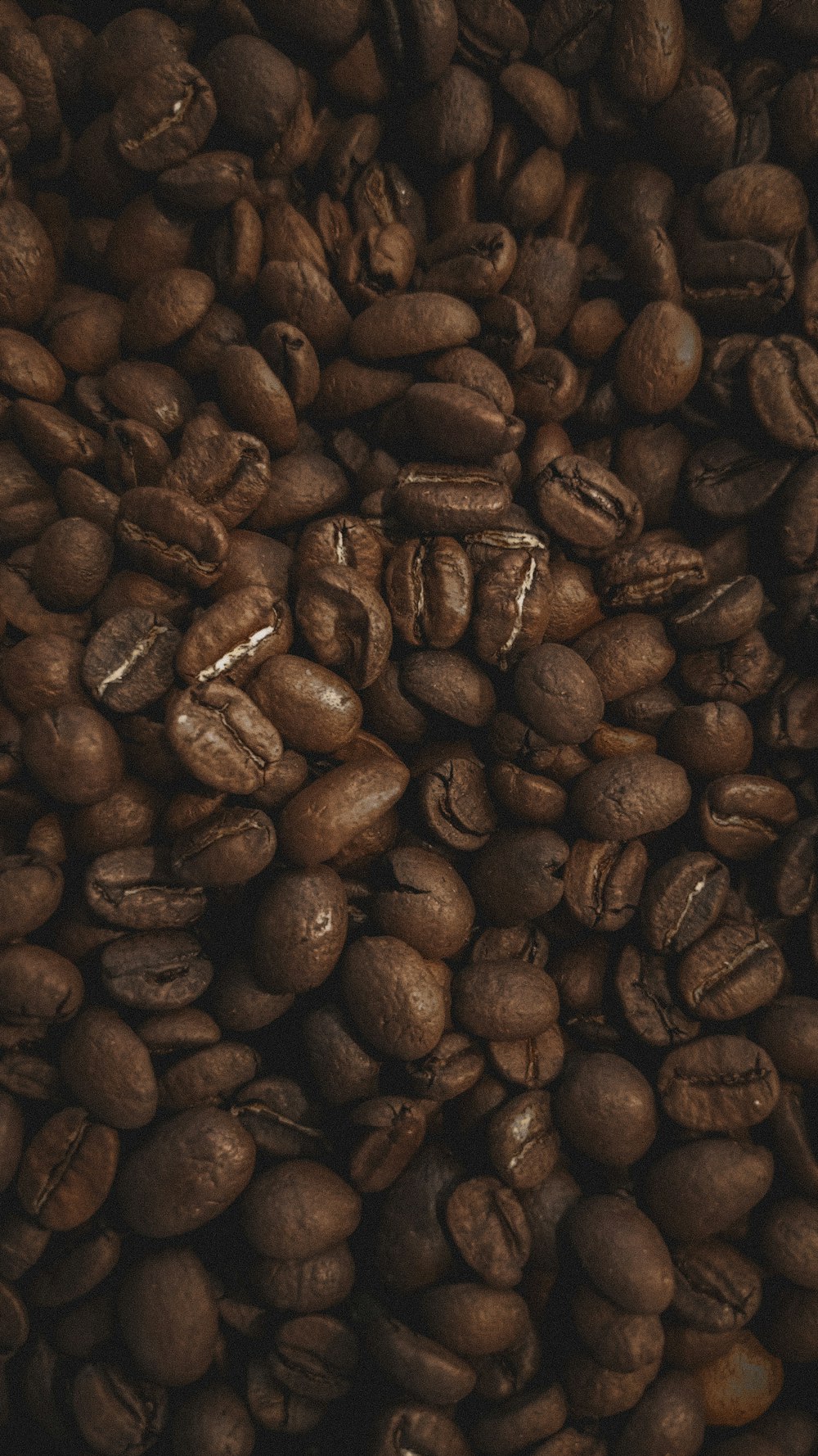 a pile of coffee beans