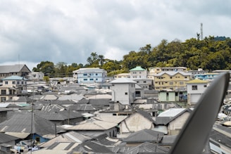 A densely packed residential area with numerous houses featuring metal rooftops. The structures are tightly arranged, and the scene includes a background of lush green trees and cloudy skies.
