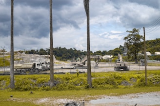 A construction site with heavy machinery including an excavator and trucks. The area is surrounded by a fence with a background of trees and a cloudy sky. Sparse vegetation and palm trees are visible in the foreground.