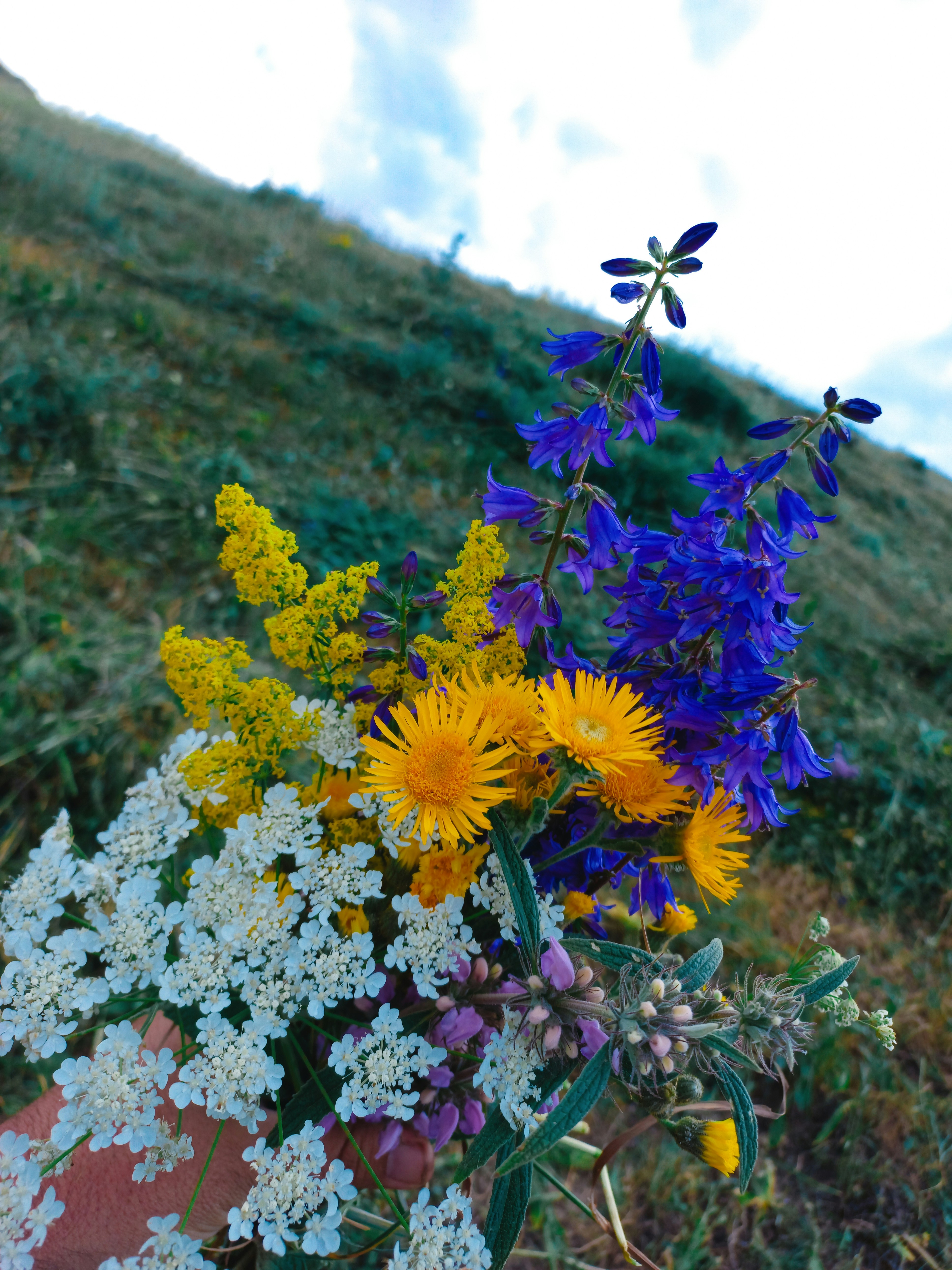 Fresh Premium Seasonal Bouquet