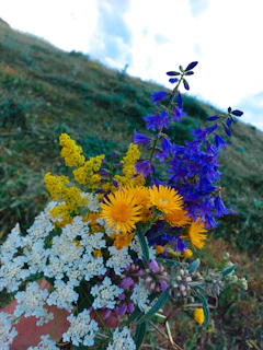 A vibrant bouquet of wildflowers resting on a sunlit beach towel with gentle ocean waves in the background.