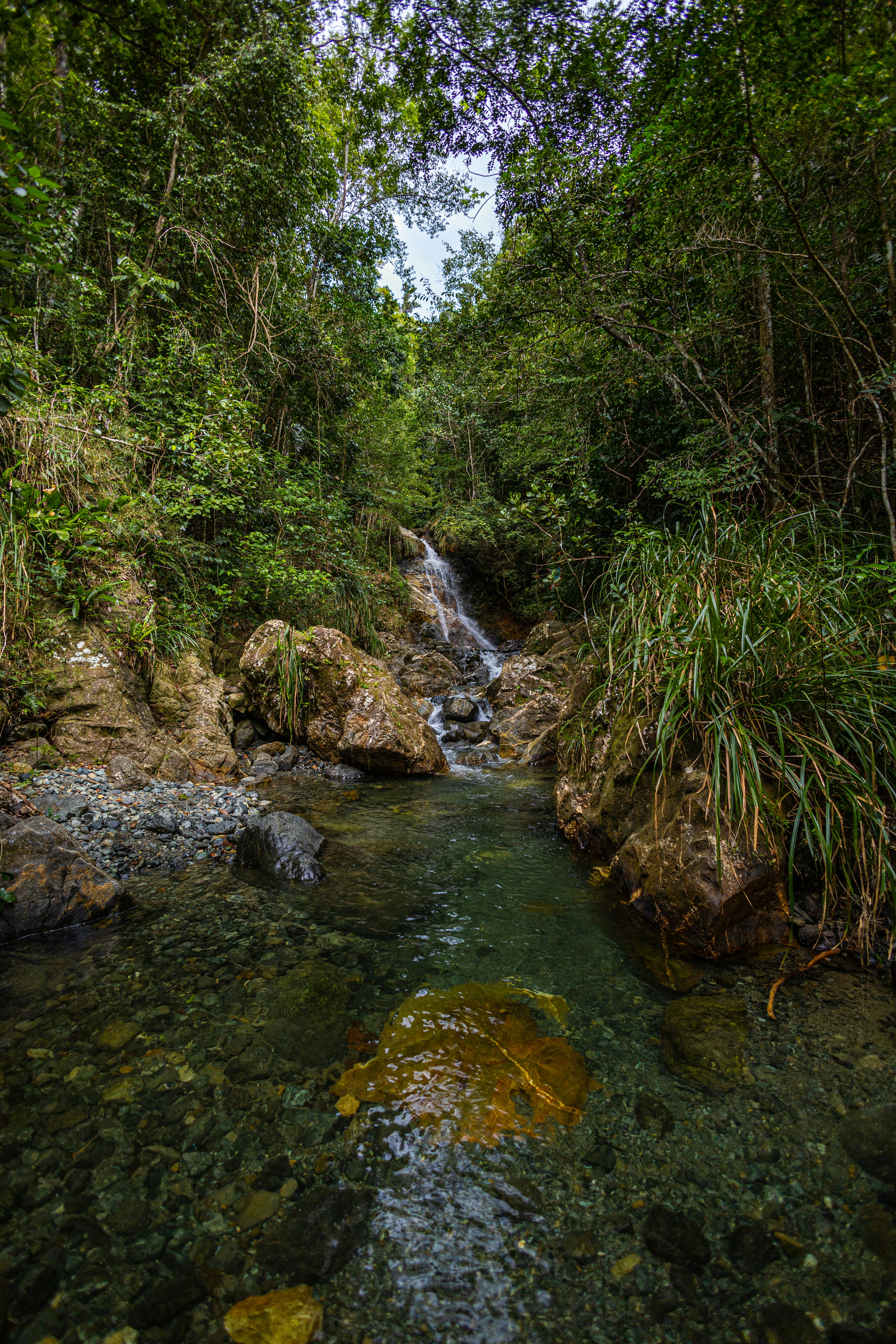 Photo by elojoboricua