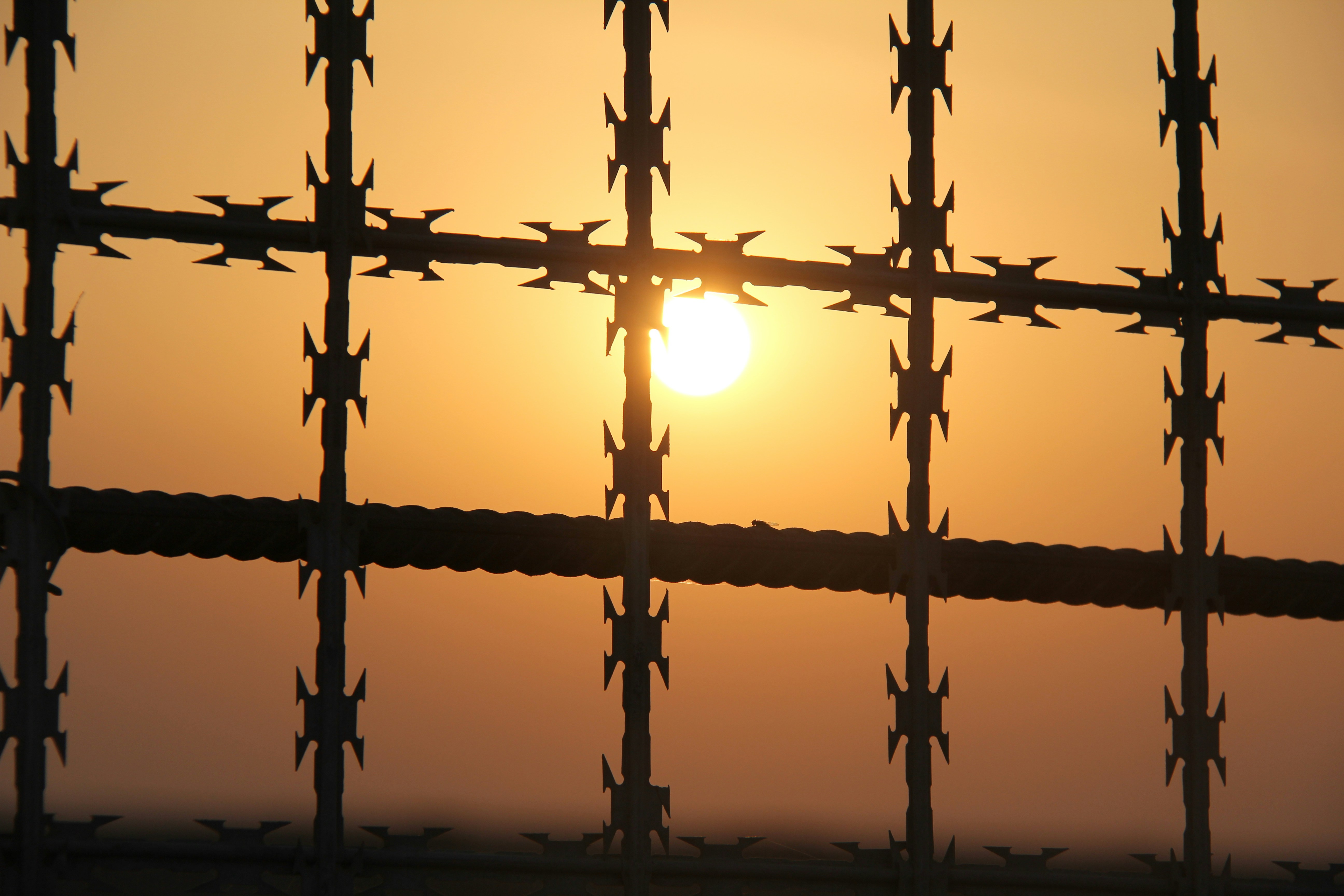 Photo by hossein1122h