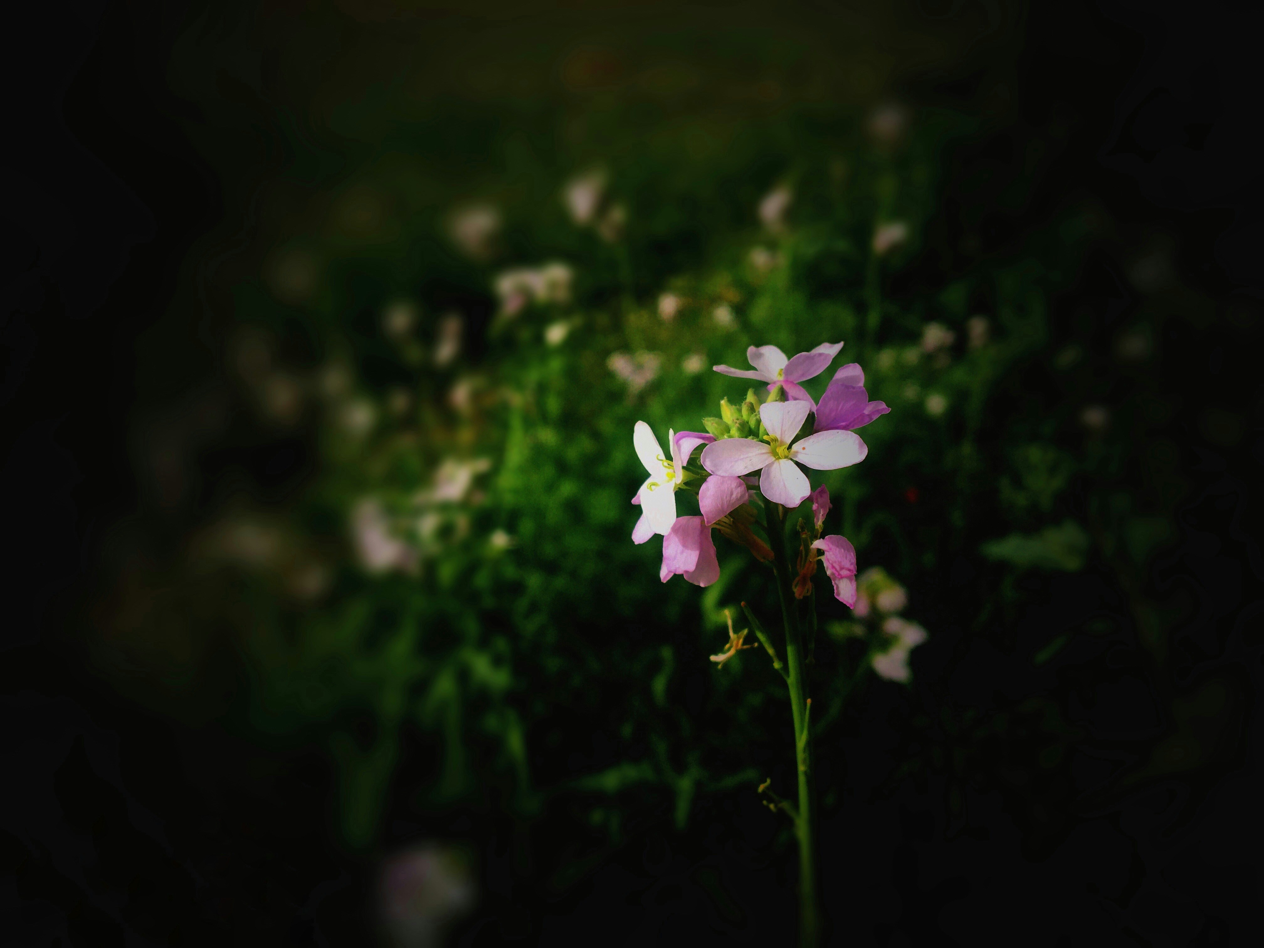 Photo by hossein1122h