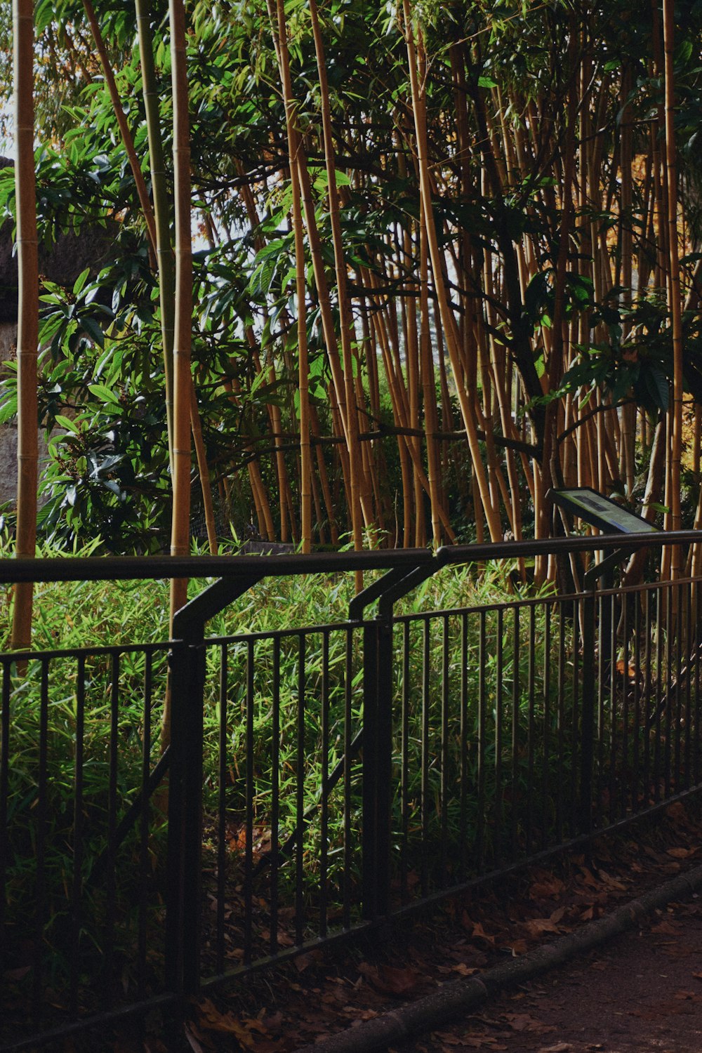 a black gate with trees in the background