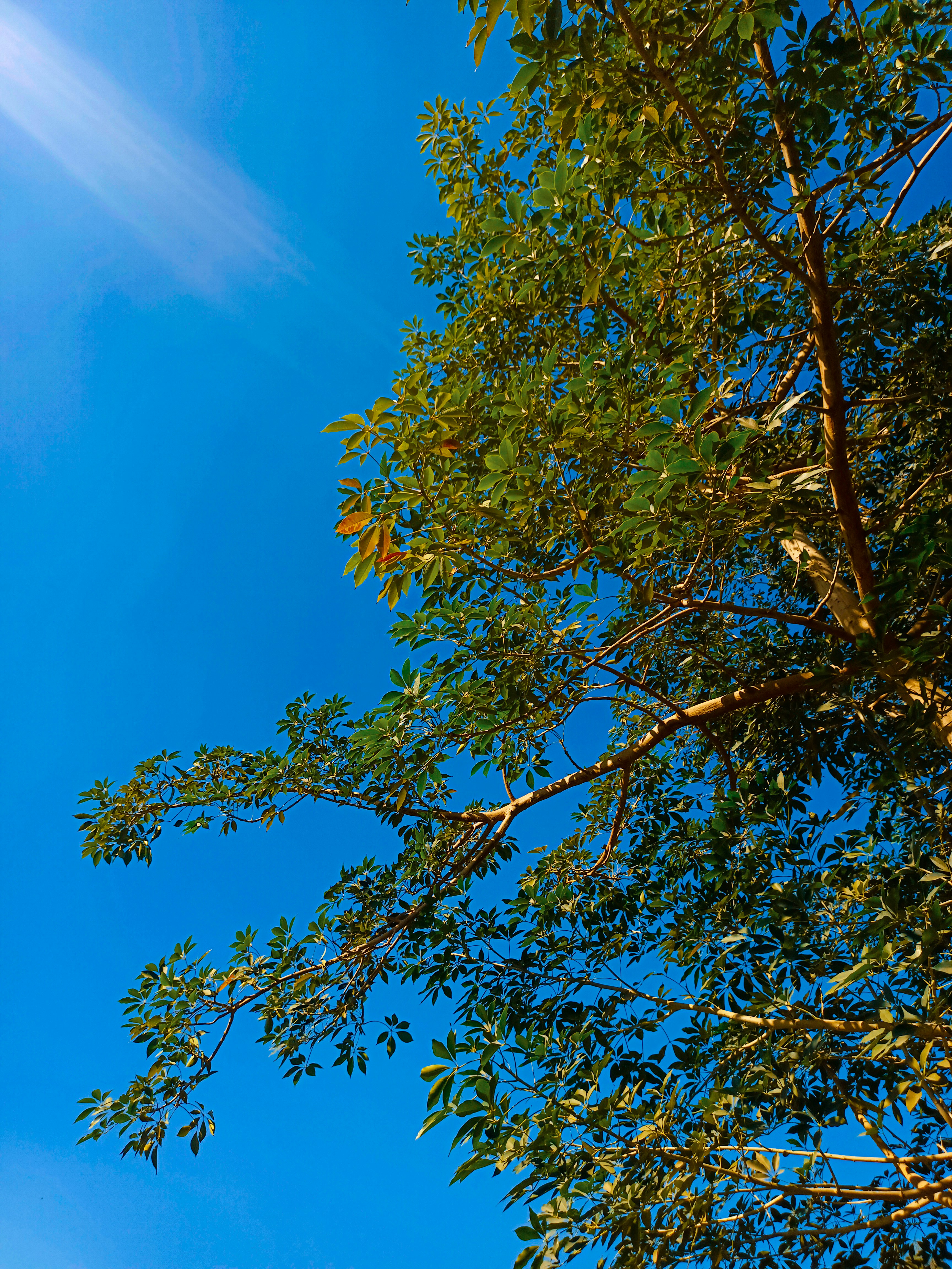 Photo by esraa_magdy