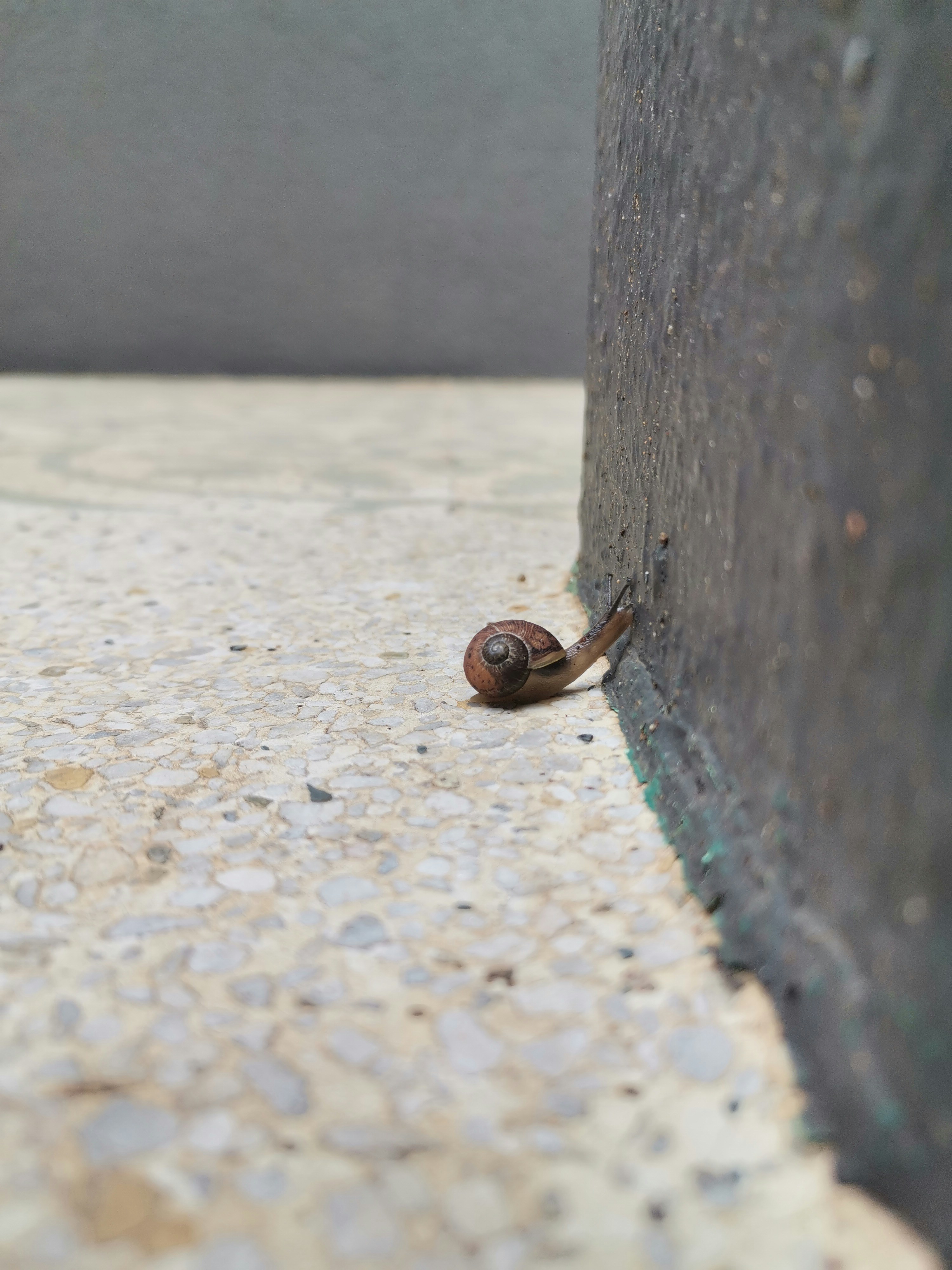 Photo by winterphoenix