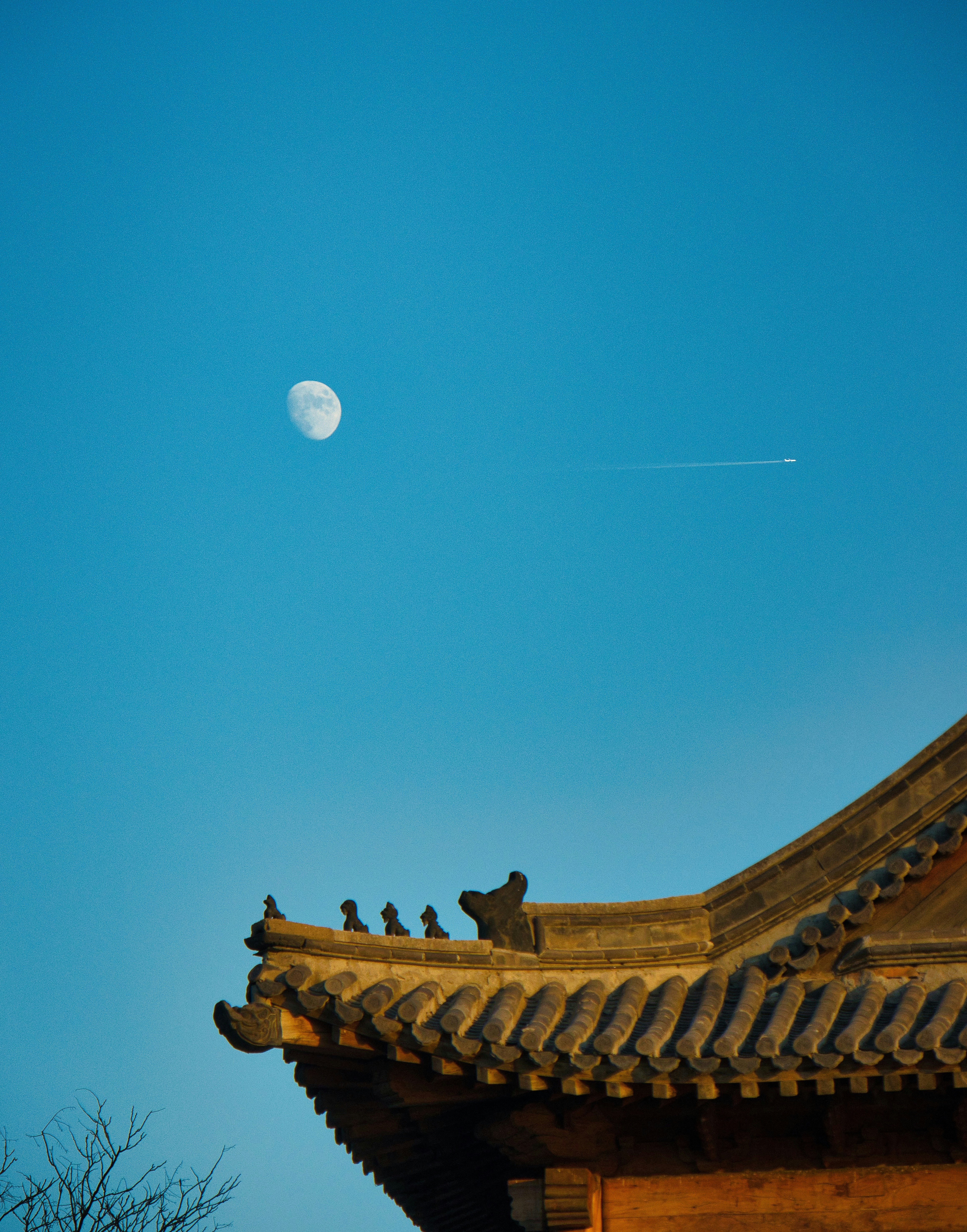 Photo by richardshan