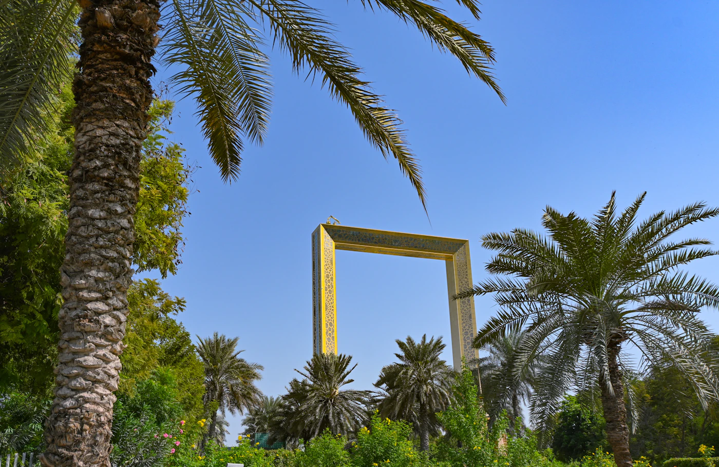The Dubai Frame surrounded by trees