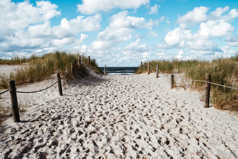 une plage de sable avec une clôture et un plan d’eau en arrière-plan