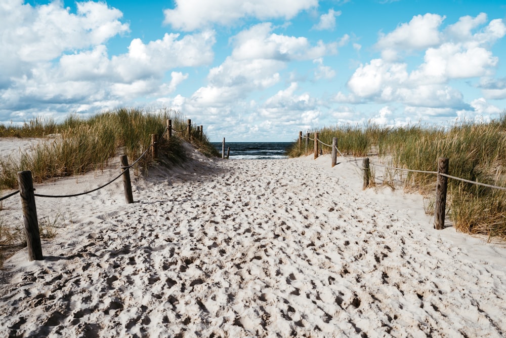 a sandy beach with a fence and a body of water in the background