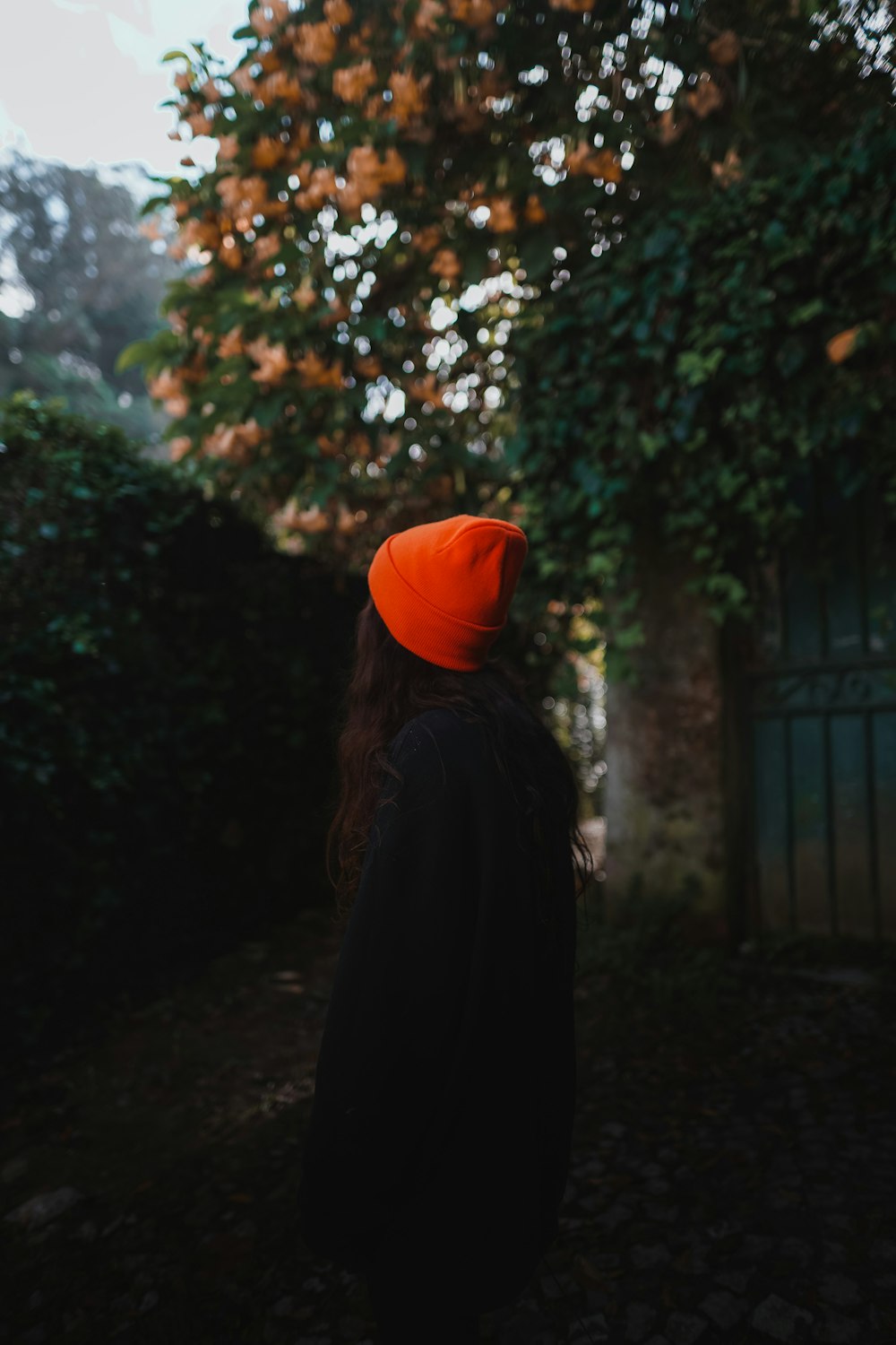 a person standing in front of a tree with orange leaves