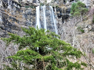 A scenic waterfall cascading down rocky cliffs surrounded by lush greenery.