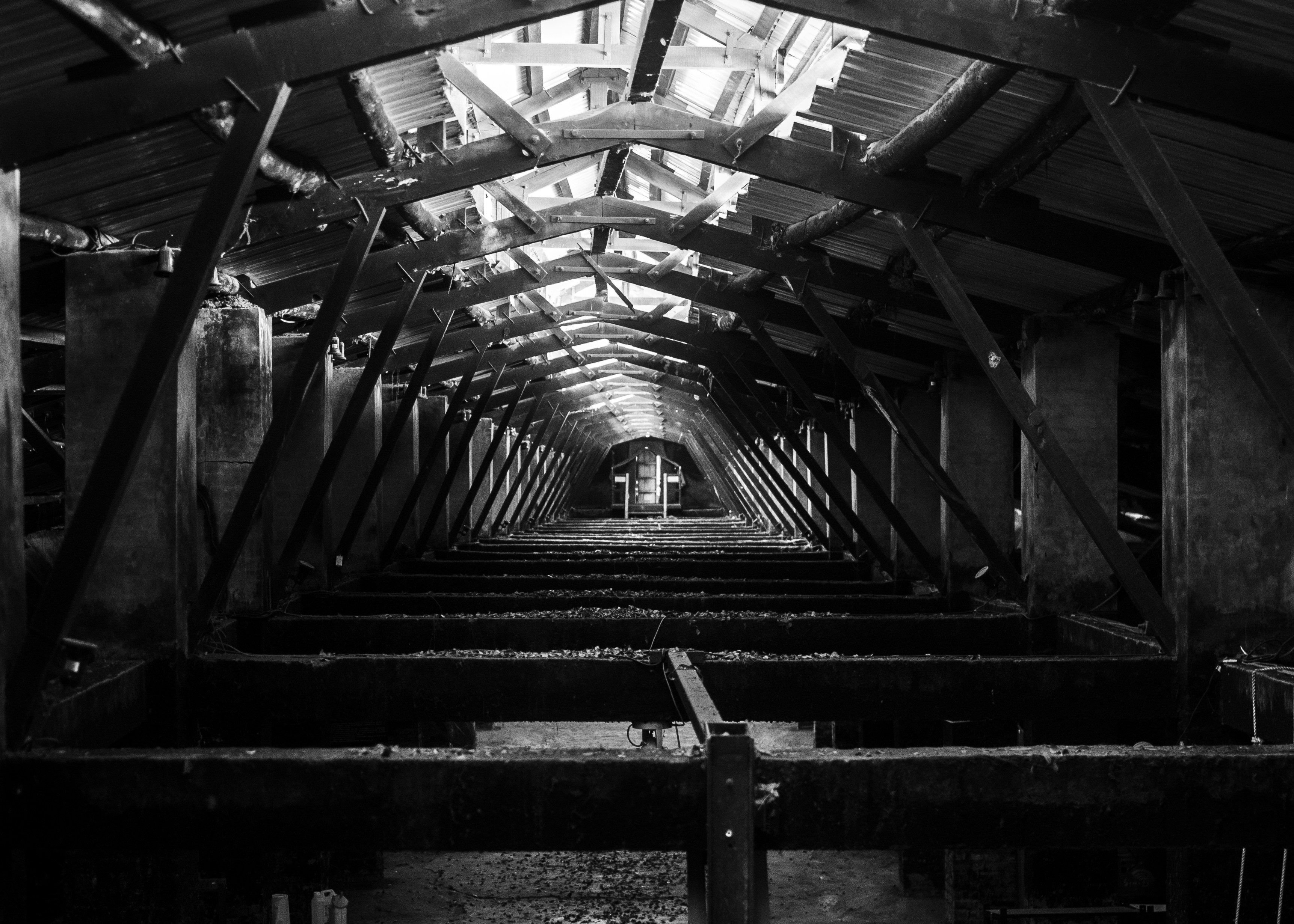 文化衝擊！這件事你再不做就 OUT 了，小心被時代淘汰！