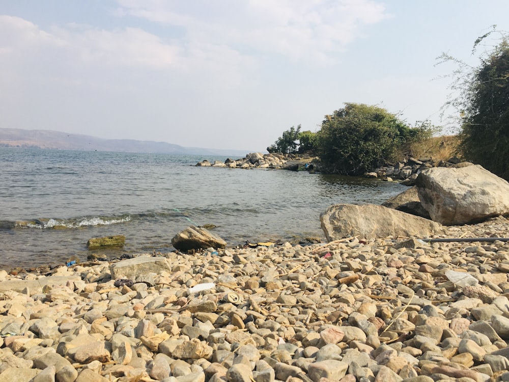 a rocky beach with a body of water in the background