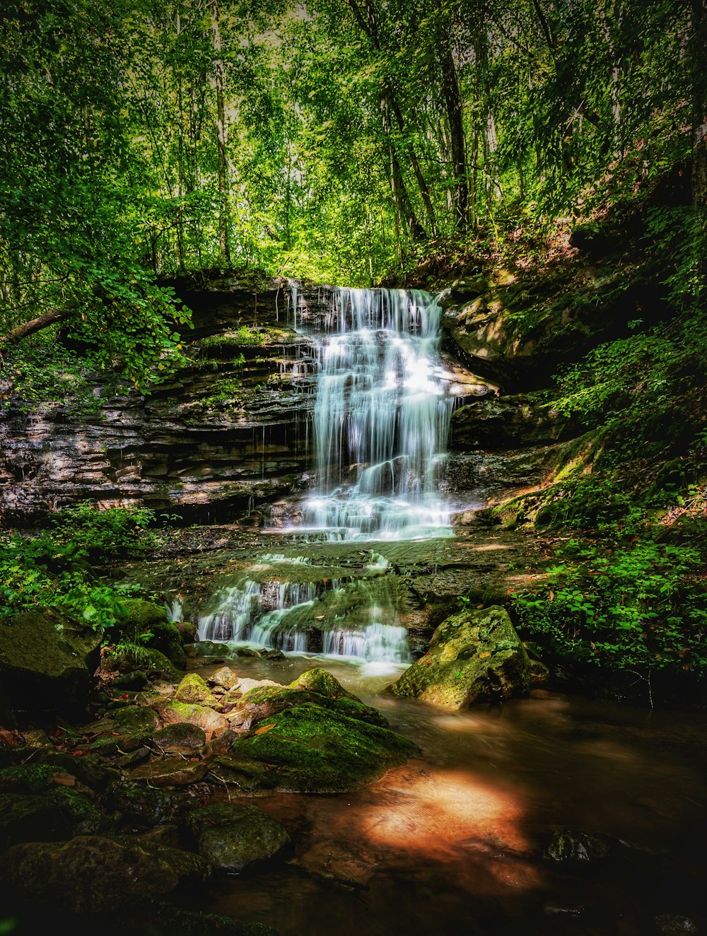 a waterfall in a forest