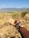 Close-up of a hand holding a Sedona vortex medallion against a backdrop of red rock formations.