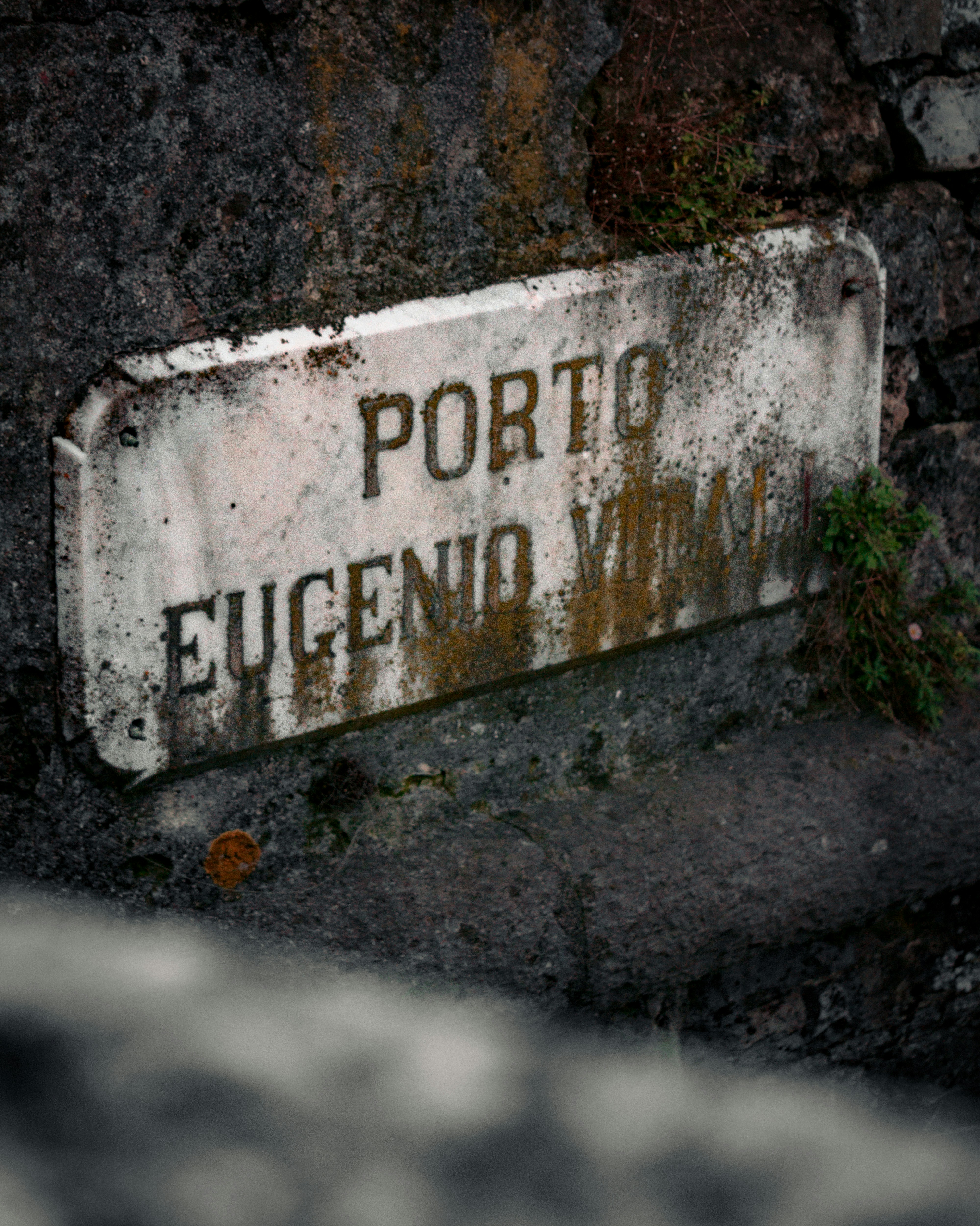 Cómo convertirse en un programador profesional: habilidades y conocimientos necesarios