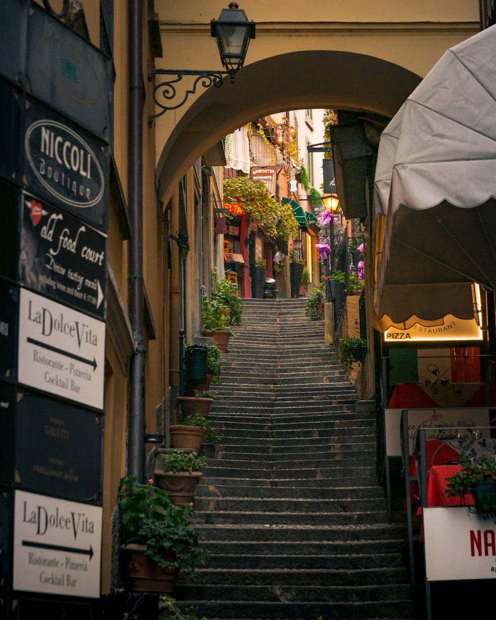 a stairway with signs and plants on it