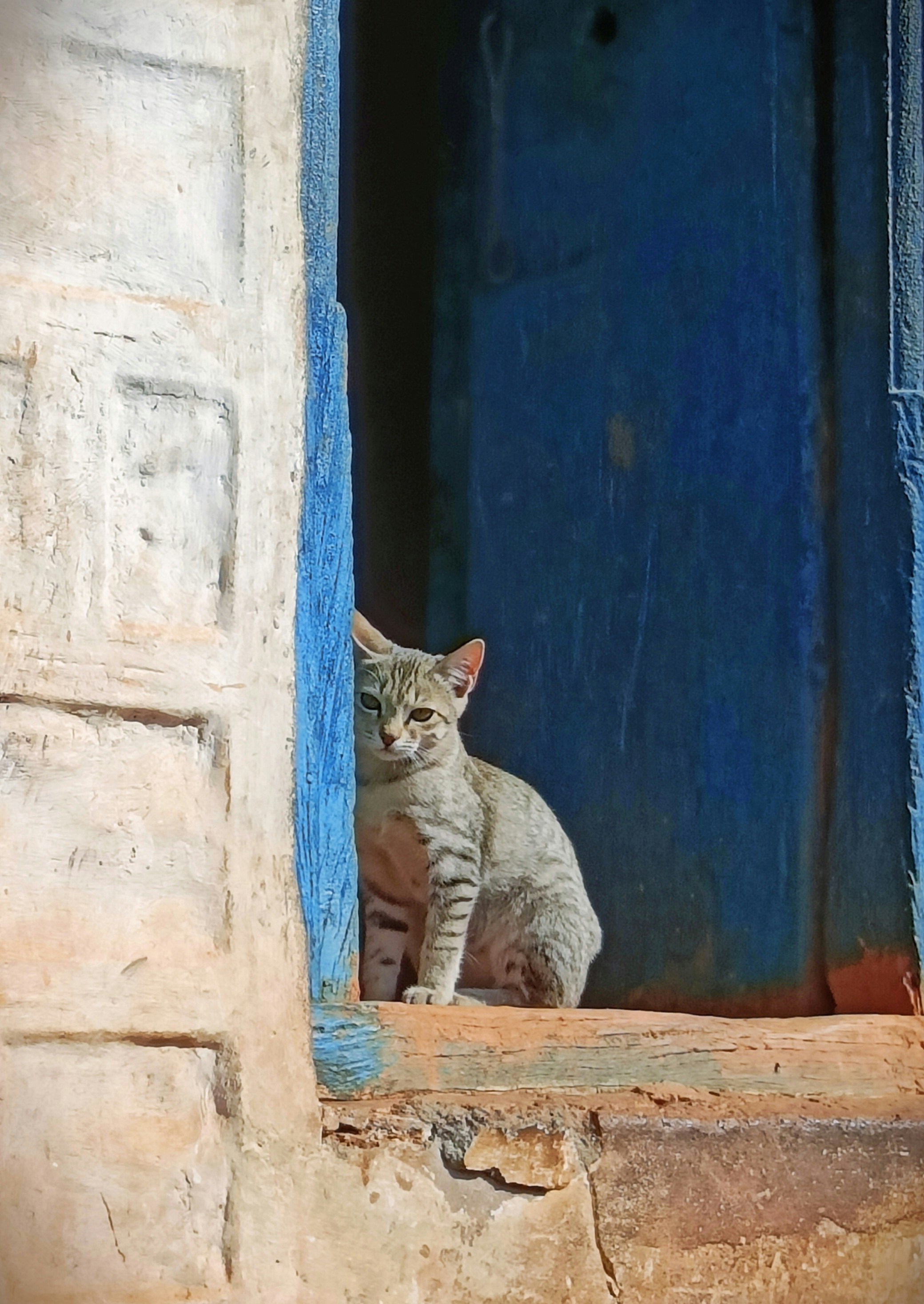 Photo by joshimilestoner