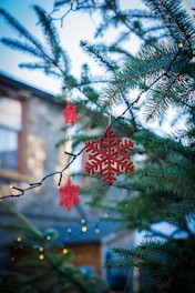 a tree with red flowers