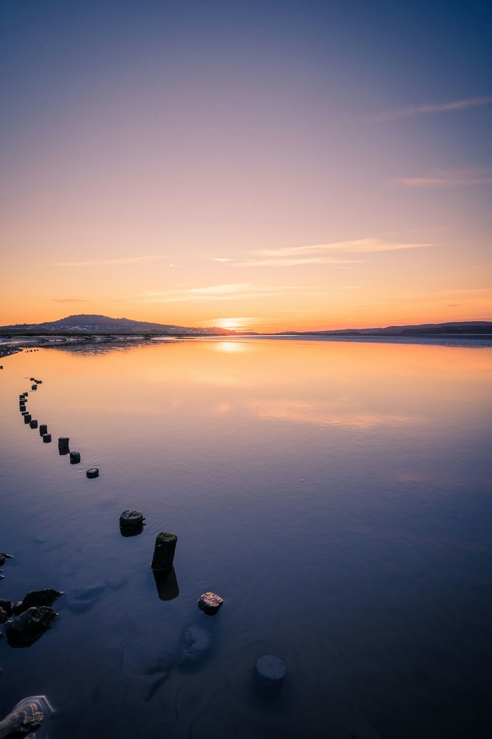 a body of water with rocks and plants in it