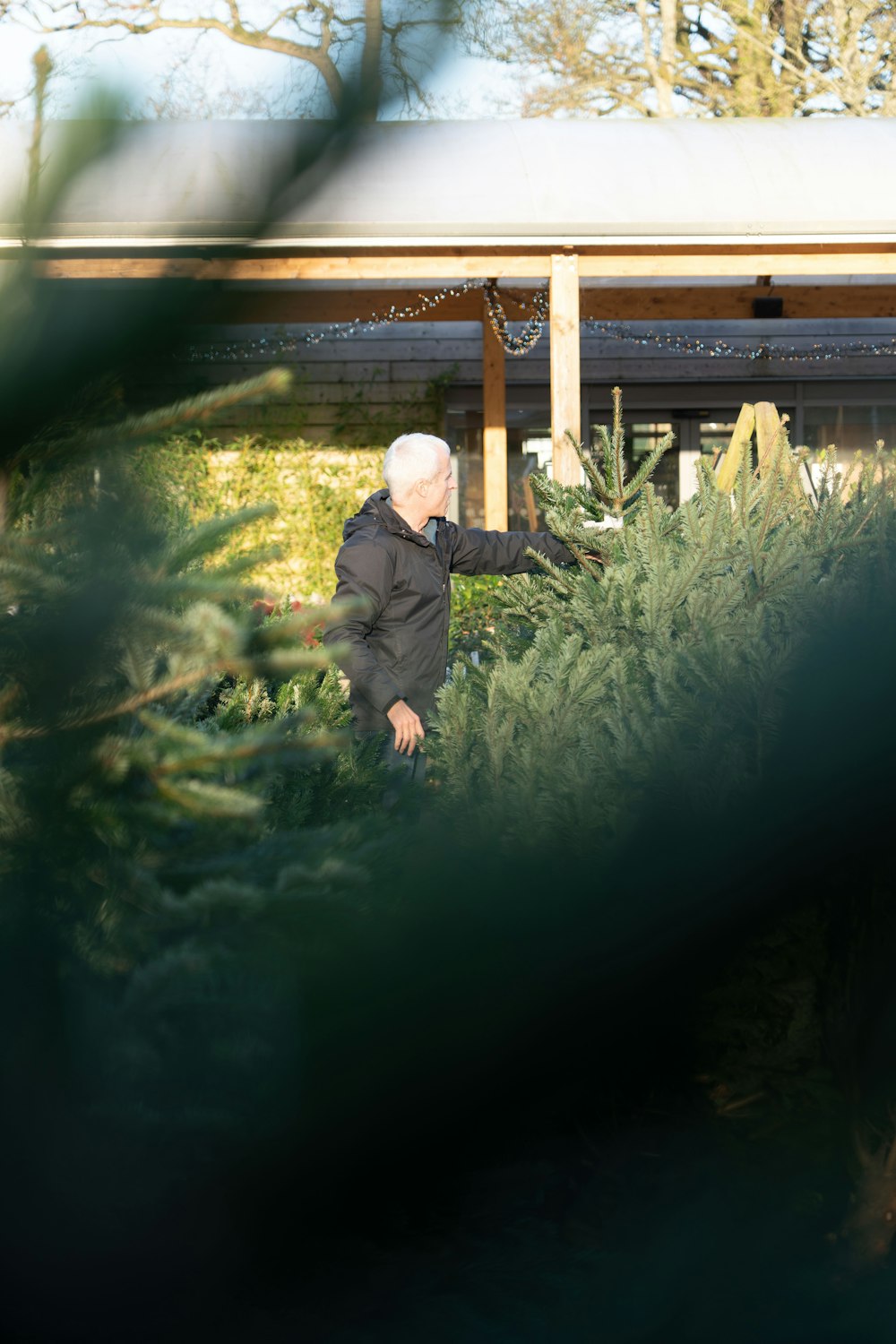 a man standing in a bush