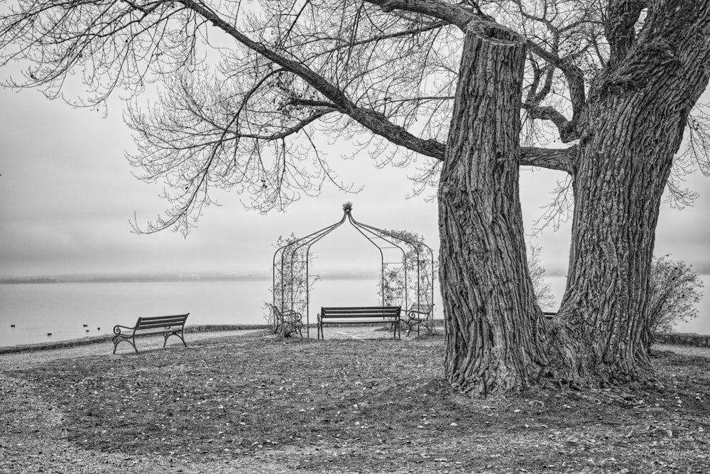 a park with benches