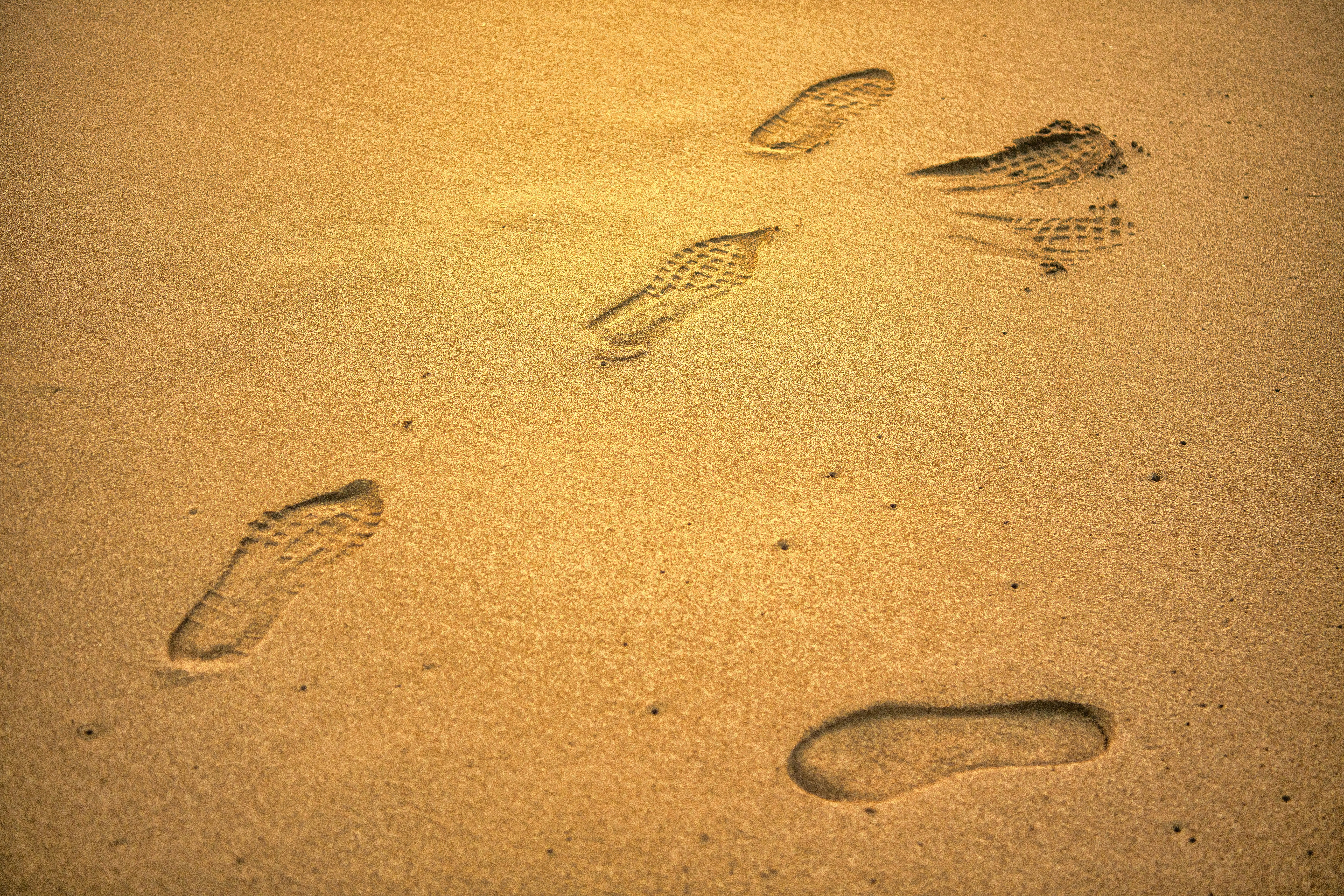 Photo by pekeshorked