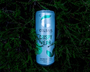 Citrus Burst Energy