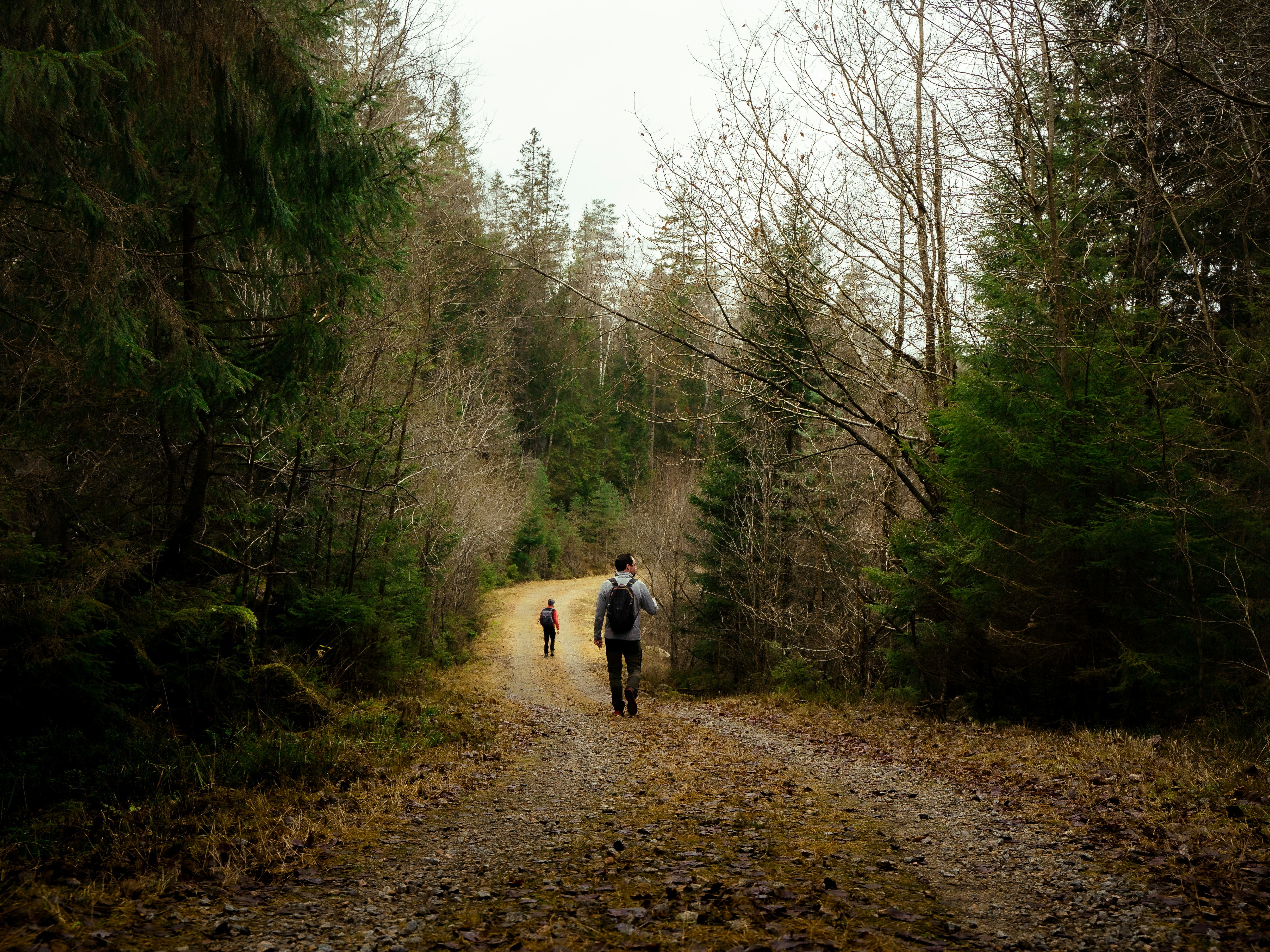 Photo by jensdedecker