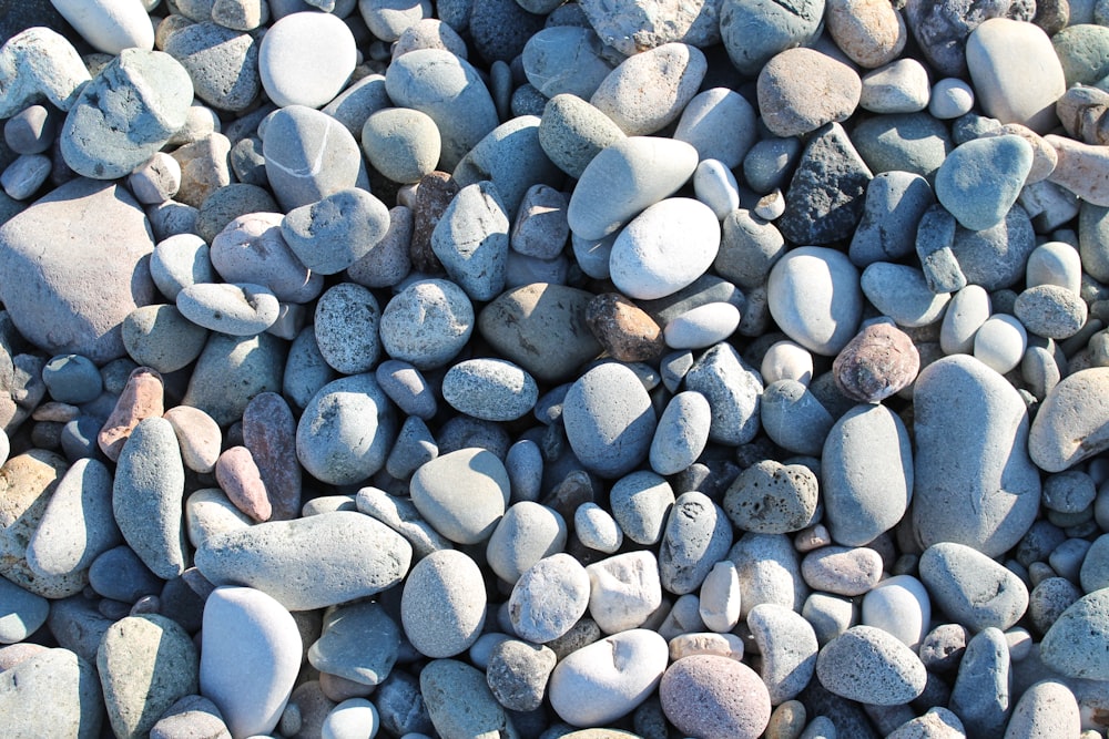 a large group of rocks