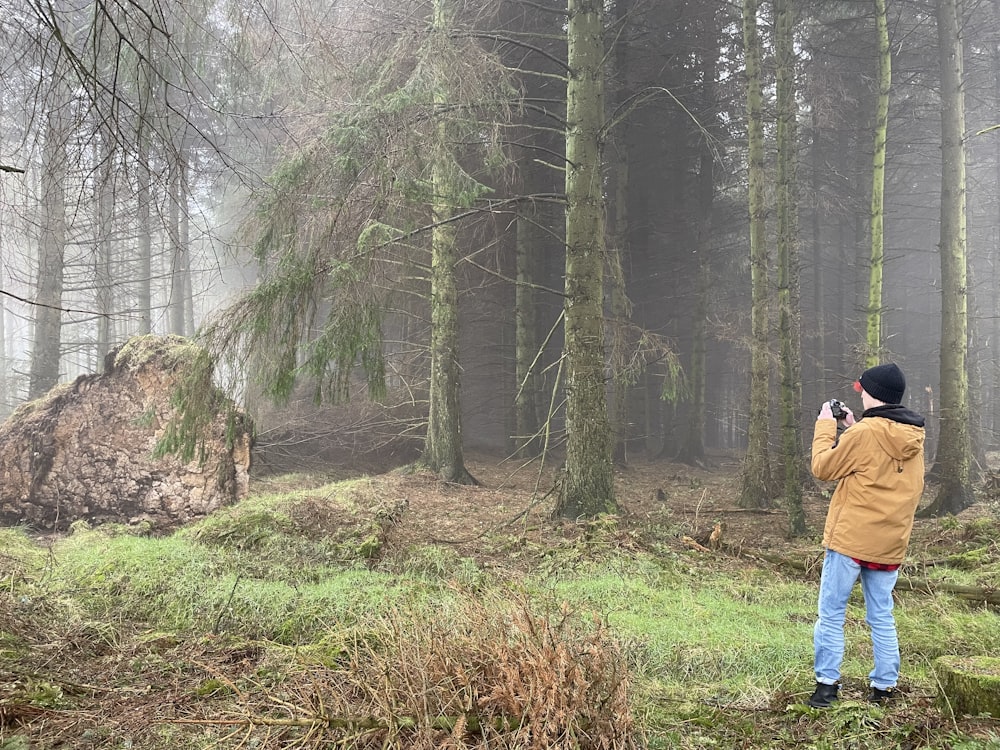 a person taking a picture of a forest