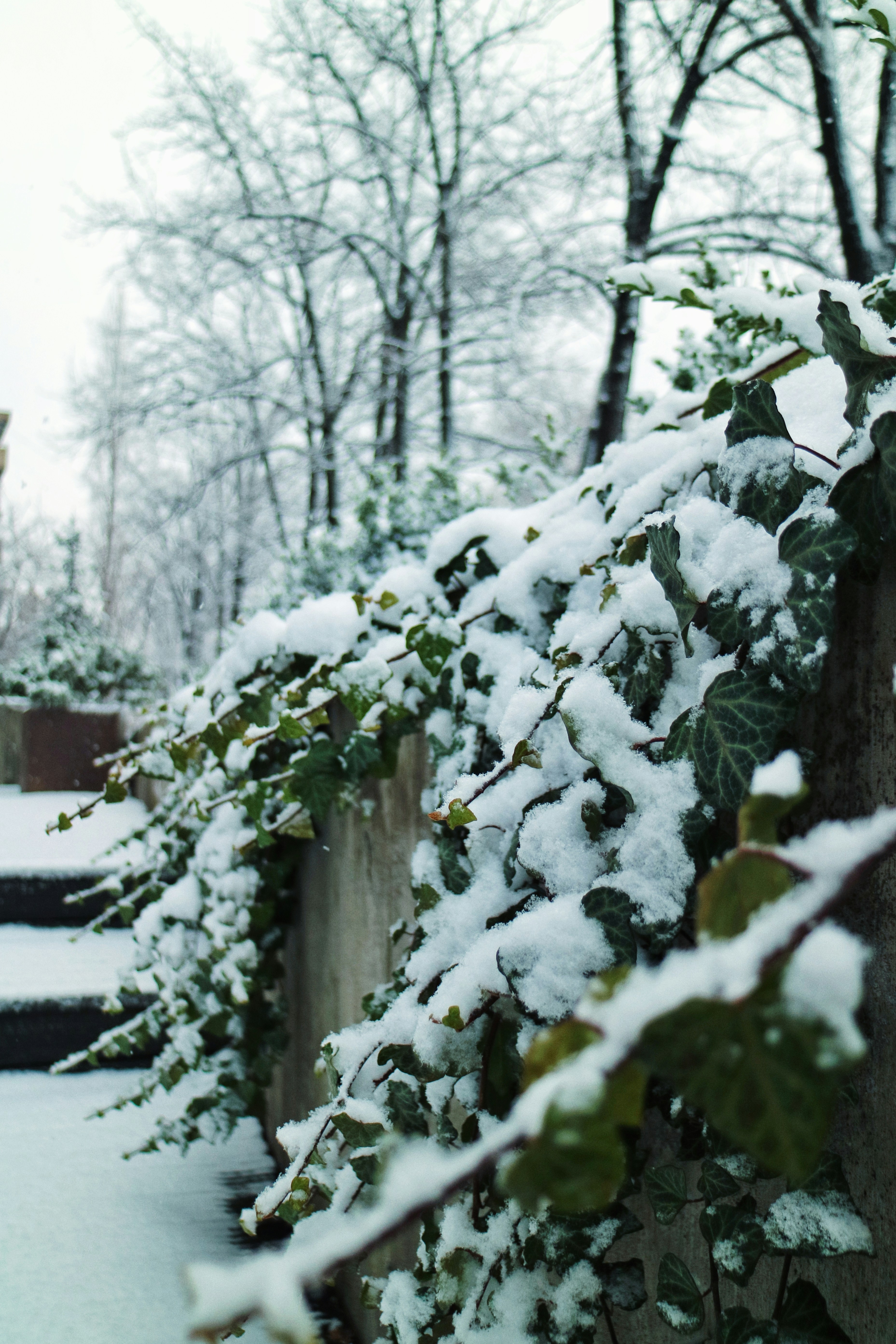 Photo by dsamatkulov