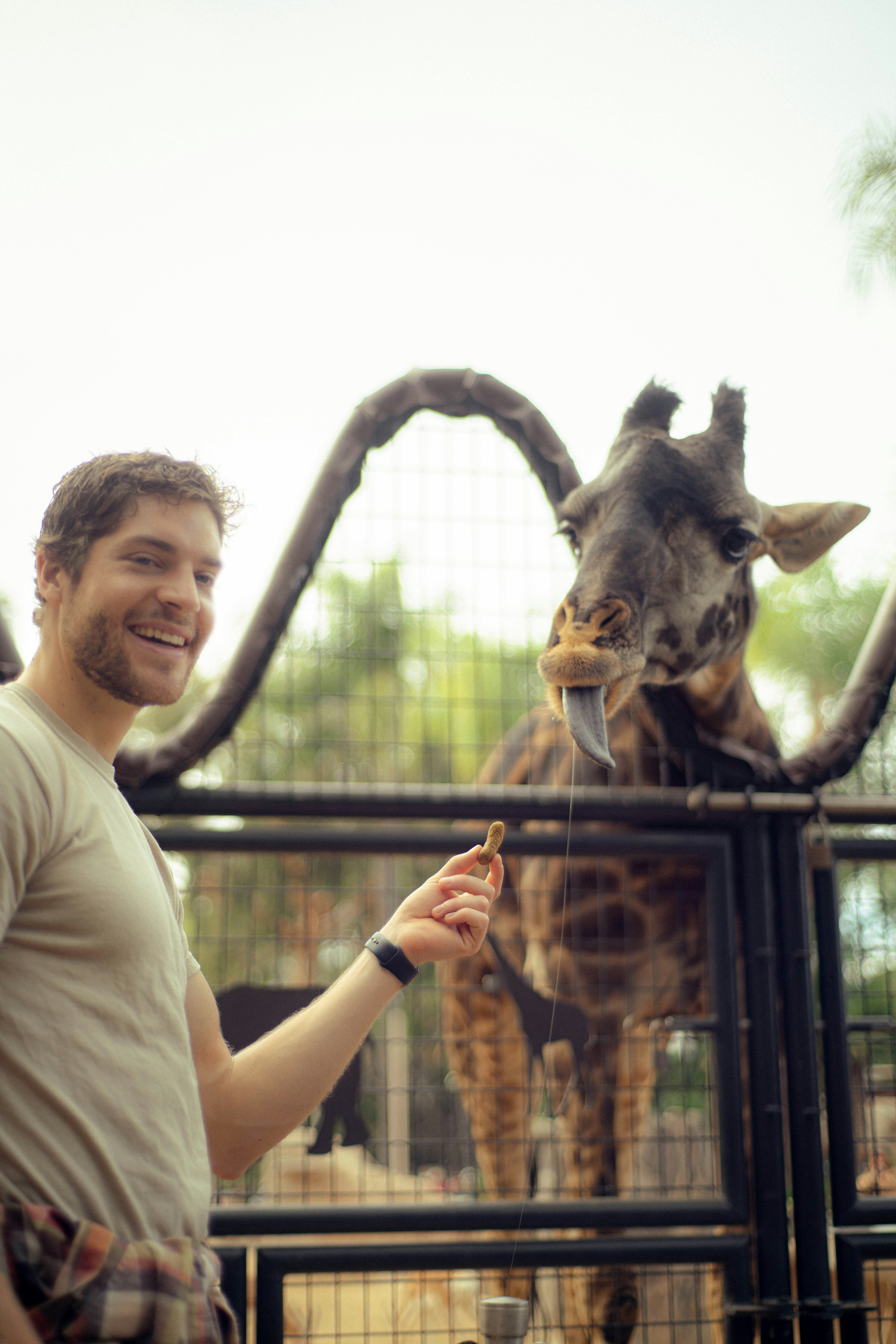 une personne debout à côté d’une statue de girafe